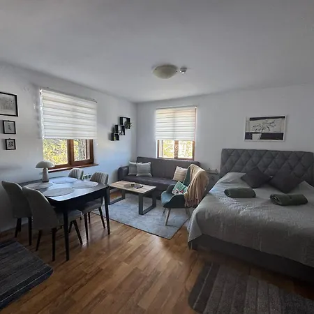 Mountain View Lux Apartmán *